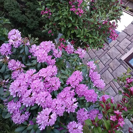 Δωμάτια σε οικογενειακή κατοικία Wynajem Pokoi Stachon