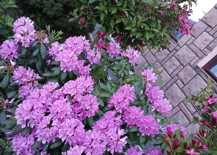 Privat bolig Wynajem Pokoi Stachon